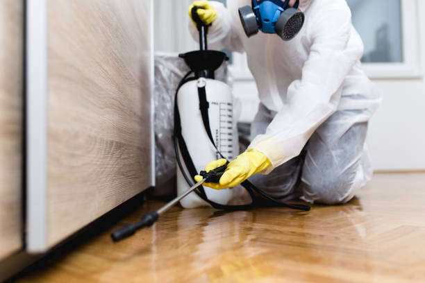Best Cockroach Control Services  in Oceana, WV
