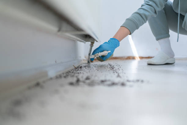 Reliable Oceana, WV Pest Control Solutions